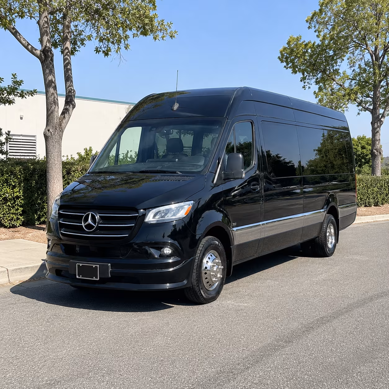 Sprinter Van