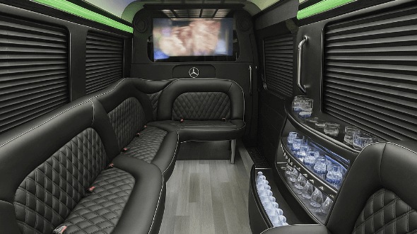 norfolk 14 passenger sprinter limousine rental