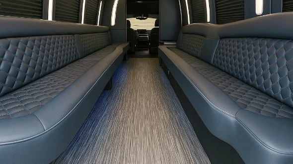 norfolk 20 passenger party bus interior