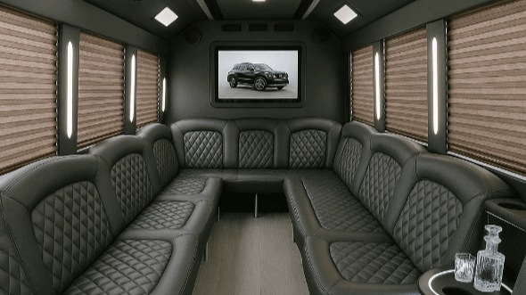 norfolk 20 passenger party bus rental