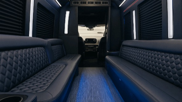 norfolk 30 passenger party bus rental